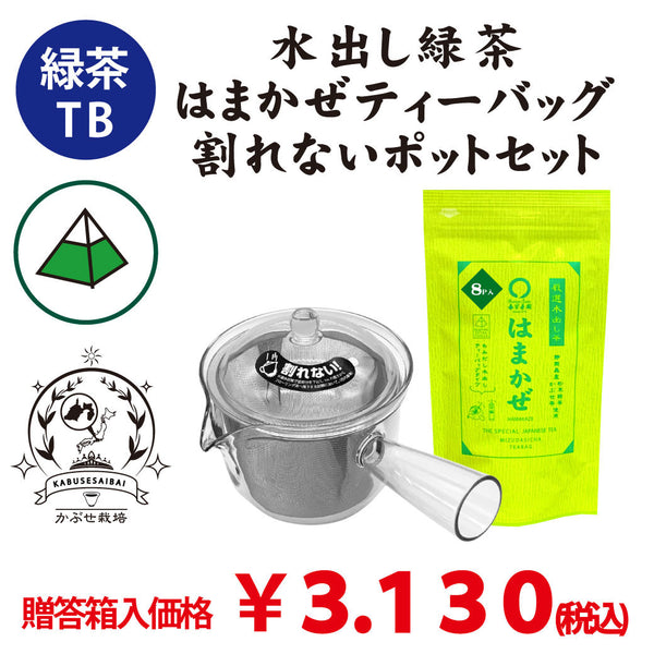 【静岡森産】 水出し緑茶「はまかぜティーバッグ」&割れないポット(急須タイプ)セット