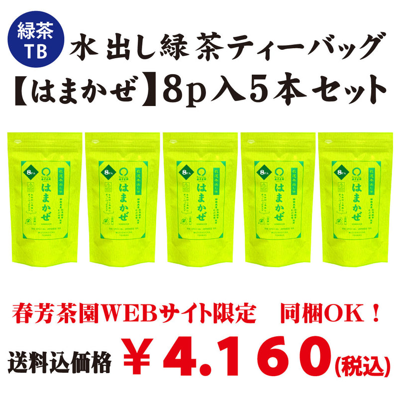 Web限定!送料込のまとめ買いセット【静岡森産】水出し緑茶ティーバッグ「はまかぜ」10p入5本セット