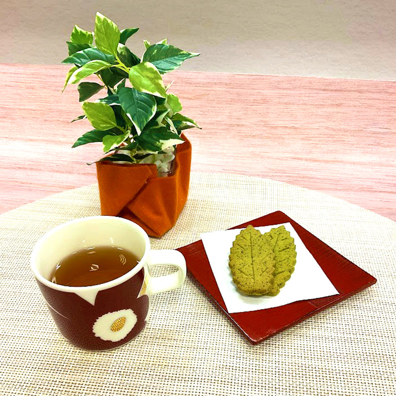 同梱OK!お得!送料込のまとめ買いセット! 【静岡掛川産茎使用】 炒りたてほうじ茶「かほり」100g詰5本セット