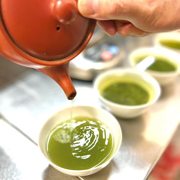 2022年新茶　鹿児島新茶、八女新茶、静岡新茶のテイスティングをおこなっています！
