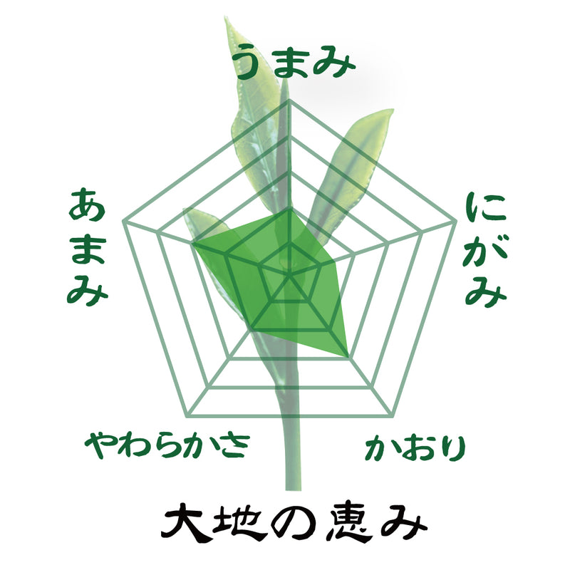 お得な春芳茶園Webサイト限定価格！送料込「春芳茶園特製甘み緑茶」３本セット