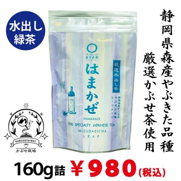 【静岡森産】水出しでカフェインを少なく！水出し緑茶「はまかぜ」160g詰　※ネコポス便不可