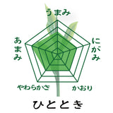 2024年度産【静岡牧之原・菊川掛川産】深蒸し緑茶「やすらぎ」80ｇ・「ひととき」80ｇセット