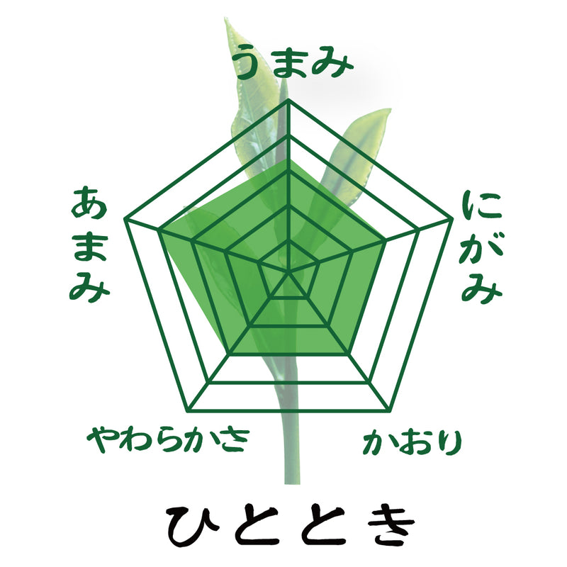 2024年度産【静岡牧之原・菊川掛川産】深蒸し緑茶「やすらぎ」80ｇ・「ひととき」80ｇセット