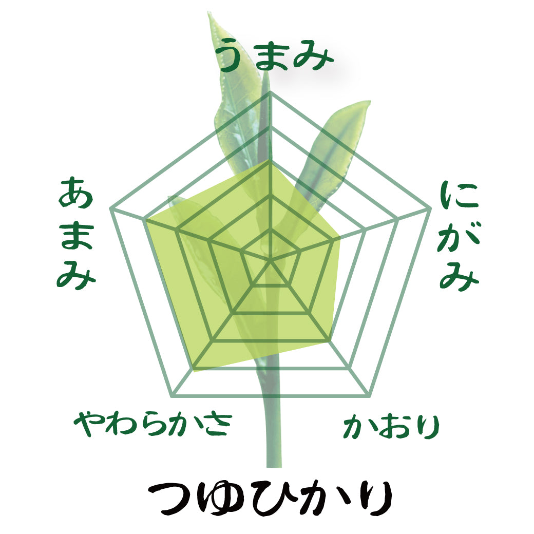 [Tsuyuhikari variety from Makinohara, Shizuoka Prefecture] Special Kabuse Sencha "Tsuyuhikari" 80g packed