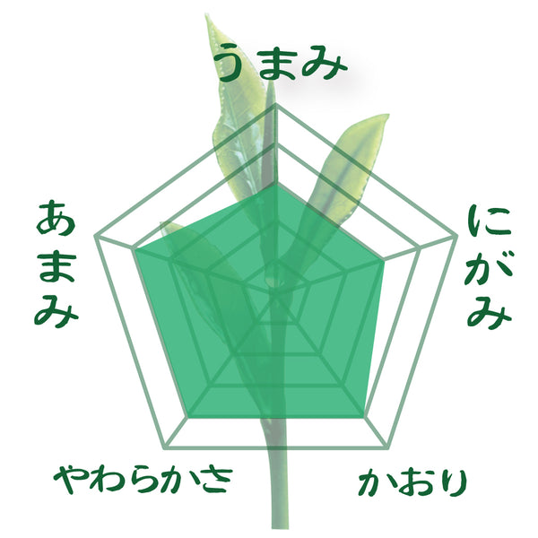 2024年度産【鹿児島大根占産さえみどり品種】 特製オリジナルかぶせ煎茶「玉露造り」80g詰※ネコポス便4本まで