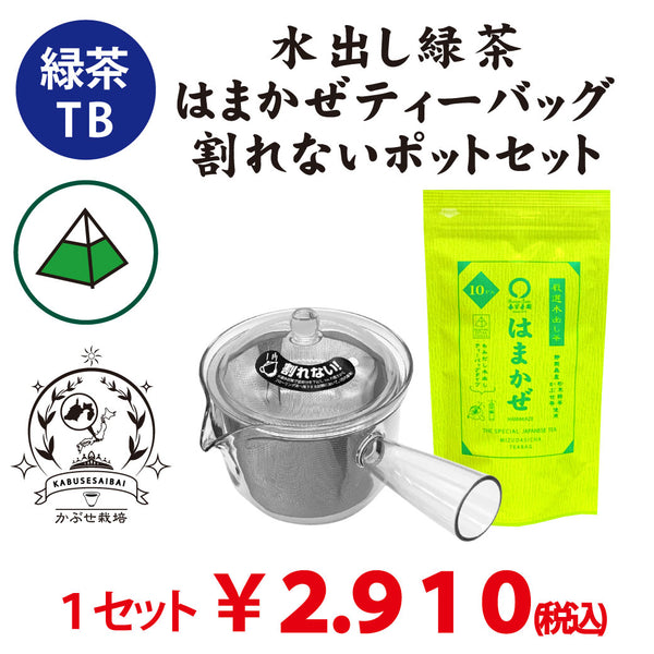 【静岡森産】 水出し緑茶「はまかぜティーバッグ」＆割れないポット（急須タイプ）セット