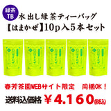 Web限定！送料込のまとめ買いセット【静岡森産】水出し緑茶ティーバッグ「はまかぜ」１０ｐ入５本セット