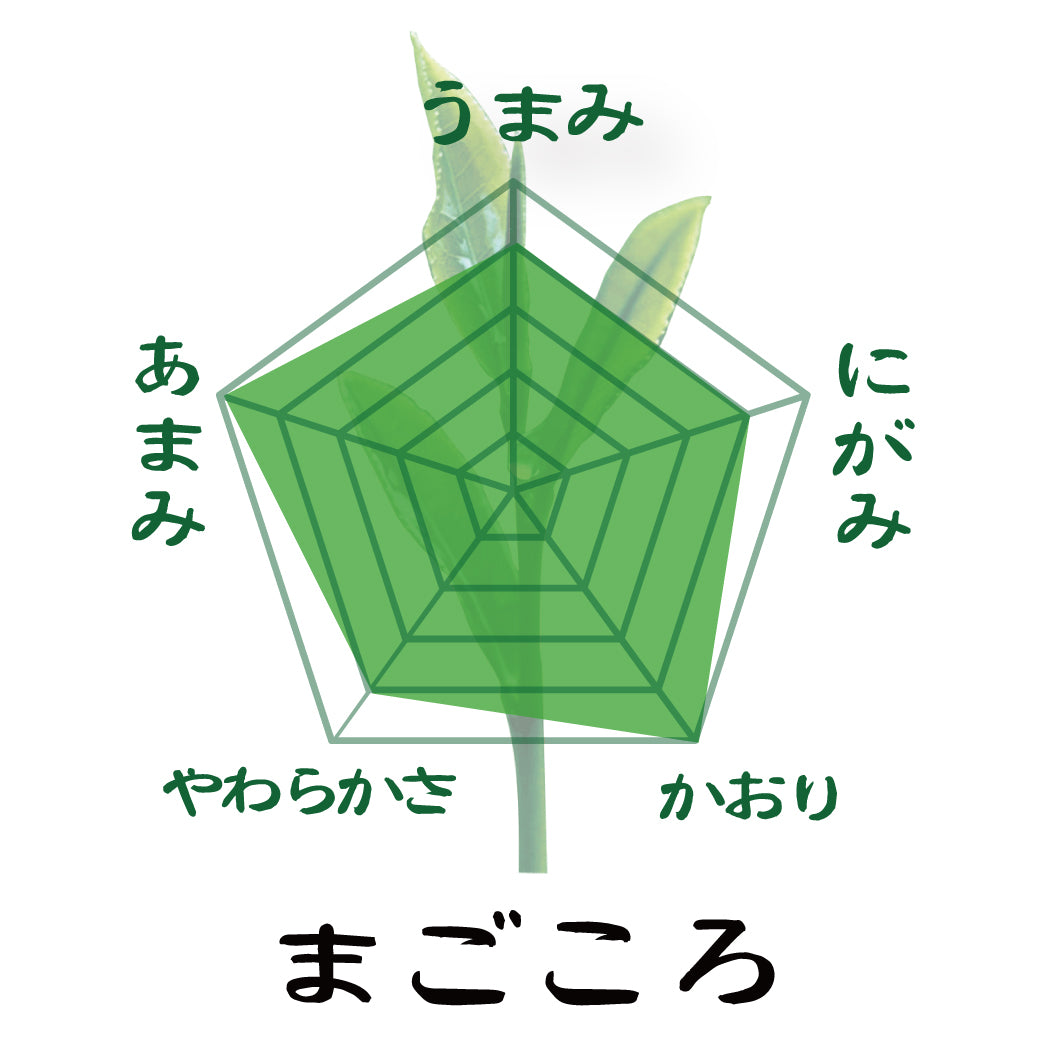 2026年度産摘みたて新茶【静岡掛川産やぶきた品種】最上深蒸し緑茶「まごころ」80g詰２本セット