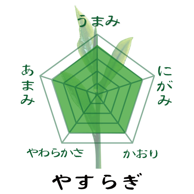 2025年度産摘みたて新茶【静岡掛川・牧之原産】 深蒸し緑茶「まごころ」80ｇ・「やすらぎ」80ｇセット