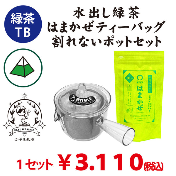 【静岡森産】 水出し緑茶「はまかぜティーバッグ」＆割れないポット（急須タイプ）セット