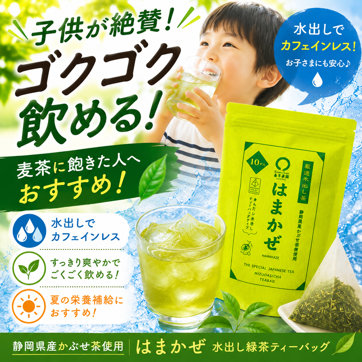 静岡森産】 水出し緑茶「はまかぜティーパック」5g×50P詰｜春芳茶園