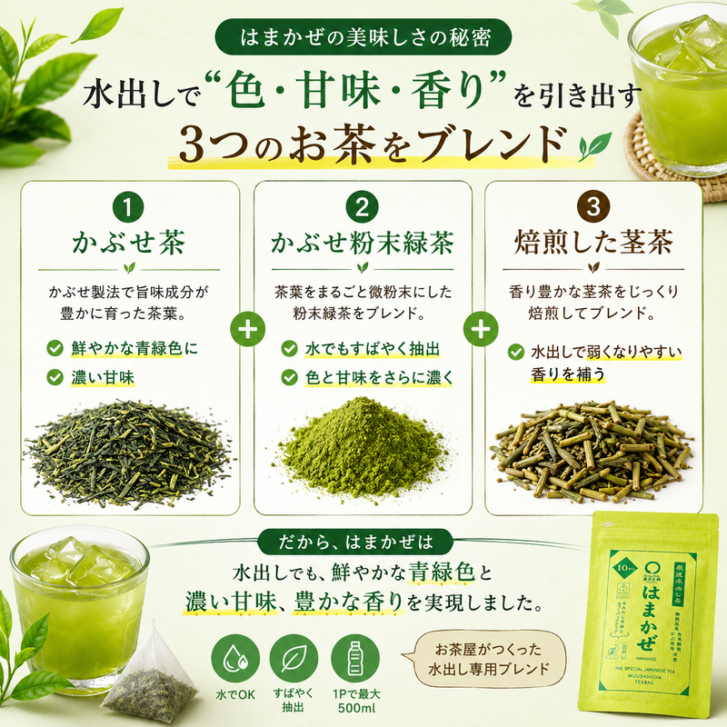 静岡森産】 水出し緑茶「はまかぜティーパック」5g×10P詰｜春芳茶園