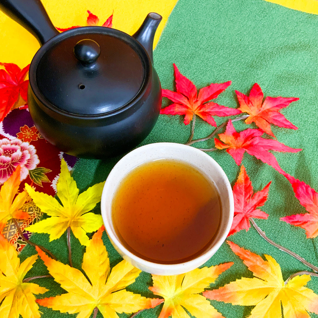 【静岡掛川産】最上ほうじ茶ティーバッグ 「かほり」５gTB×30ｐ入※ネコポス便不可