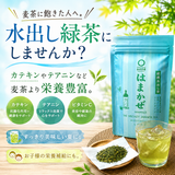 【静岡森産】水出しでカフェインを少なく！水出し緑茶「はまかぜ」160g詰　※ネコポス便不可