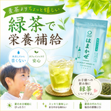 同梱OK！お得！送料込のまとめ買いセット！【静岡森産】 水出し煎茶「はまかぜ」160ｇ詰３本セット