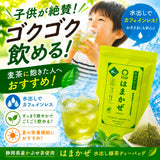 初めての方へ【子供が絶賛！カフェインレス】 水出し緑茶「はまかぜティーバック」5g×８P詰※ネコポス便3本まで