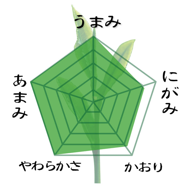 「匠の極」80g詰〔予約限定新茶〕お渡し5月8日スタート！参考価格3,240円の品 ⇒80g詰税込1,880円※通常商品を限定新茶と合わせてご注文の場合は限定新茶の出荷日になります。