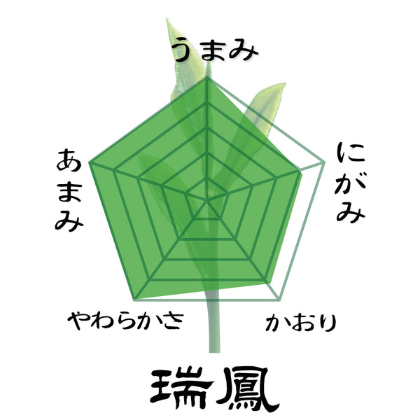 2025年度産摘みたて新茶【静岡菊川牧之原産】最上深蒸し緑茶「瑞鳳」80g詰３本セット