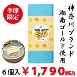 【神奈川ブランド湘南ゴールド使用】湘南ゴールドゼリー６個入