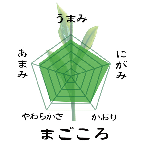 2025年度産摘みたて新茶【静岡掛川産やぶきた品種】 特製オリジナル深蒸し緑茶「まごころ」80g詰※ネコポス便4本まで