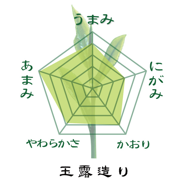 2025年度産摘みたて新茶【鹿児島大根占産さえみどり品種】 特製オリジナルかぶせ煎茶「玉露造り」80g詰※ネコポス便4本まで