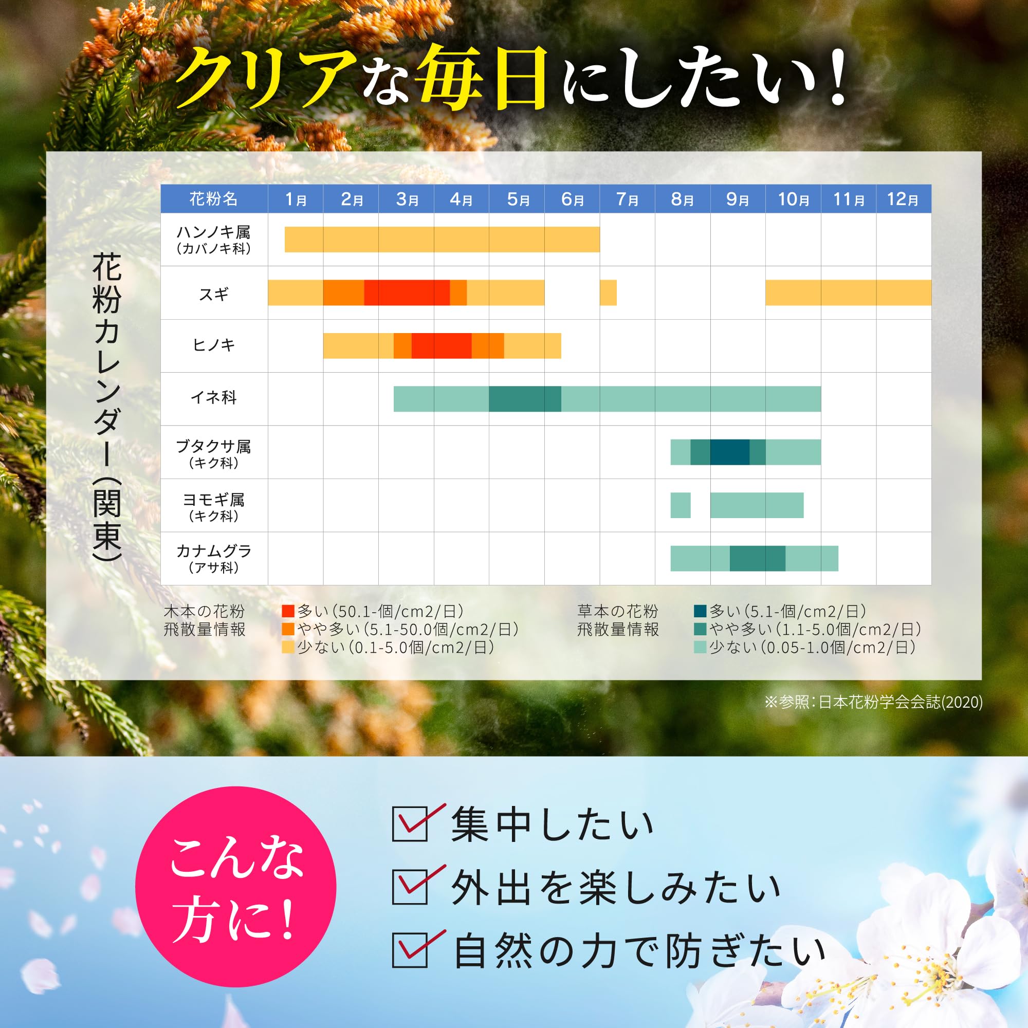 【静岡掛川産べにふうき品種】 粉末緑茶「べにふうき（紅富機）」１５本入※ネコポス便3本まで