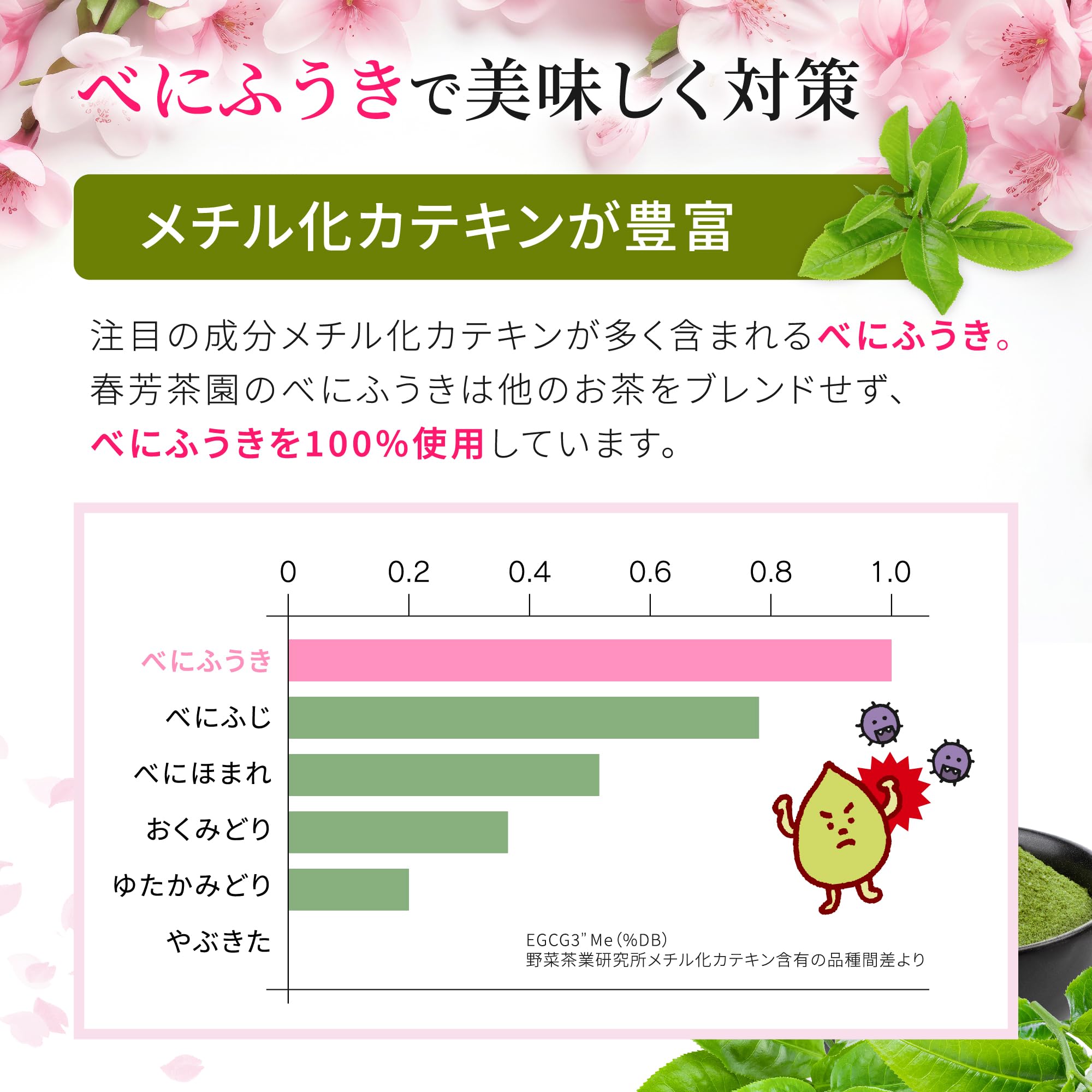 【静岡掛川産べにふうき品種】 粉末緑茶「べにふうき（紅富機）」１５本入※ネコポス便3本まで