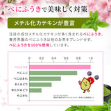【静岡掛川産べにふうき品種】 粉末緑茶「べにふうき（紅富機）」１５本入※ネコポス便3本まで