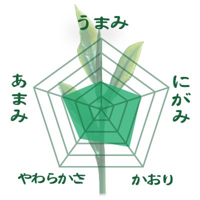 [Fukuoka Yame Yabukita & Saemidori varieties] Special deep steamed kabuse green tea "Yame no Kaori" 80g packed