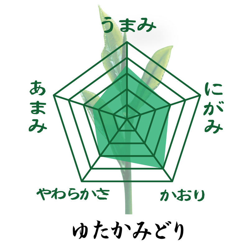 2024年度産【鹿児島県大根占・知覧産】かぶせ緑茶玉露造り80ｇ ・ かぶせ緑茶ゆたかみどり80ｇセット