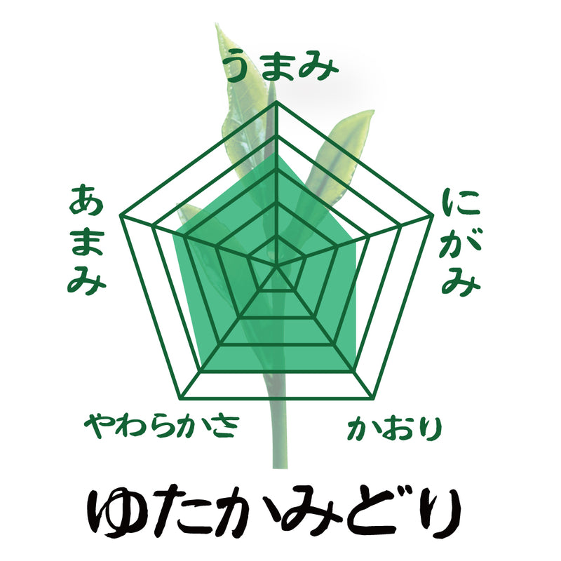 おすすめ！「三大産地新茶飲みくらべセット」