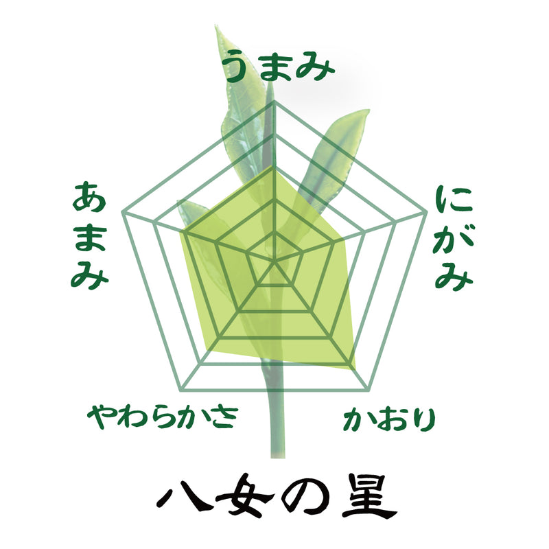 おすすめ！「三大産地新茶飲みくらべセット」