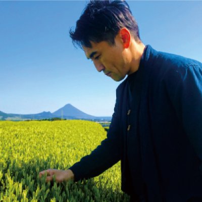 【静岡森産】水出しでカフェインを少なく！水出し緑茶「はまかぜ」160g詰　※ネコポス便不可