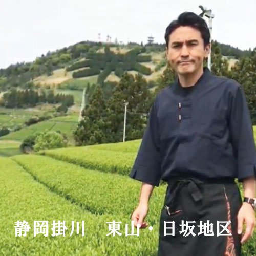 「ひとときティーバッグ」紐無しテトラ型5gティーバッグ×20P詰　※ネコポス便不可