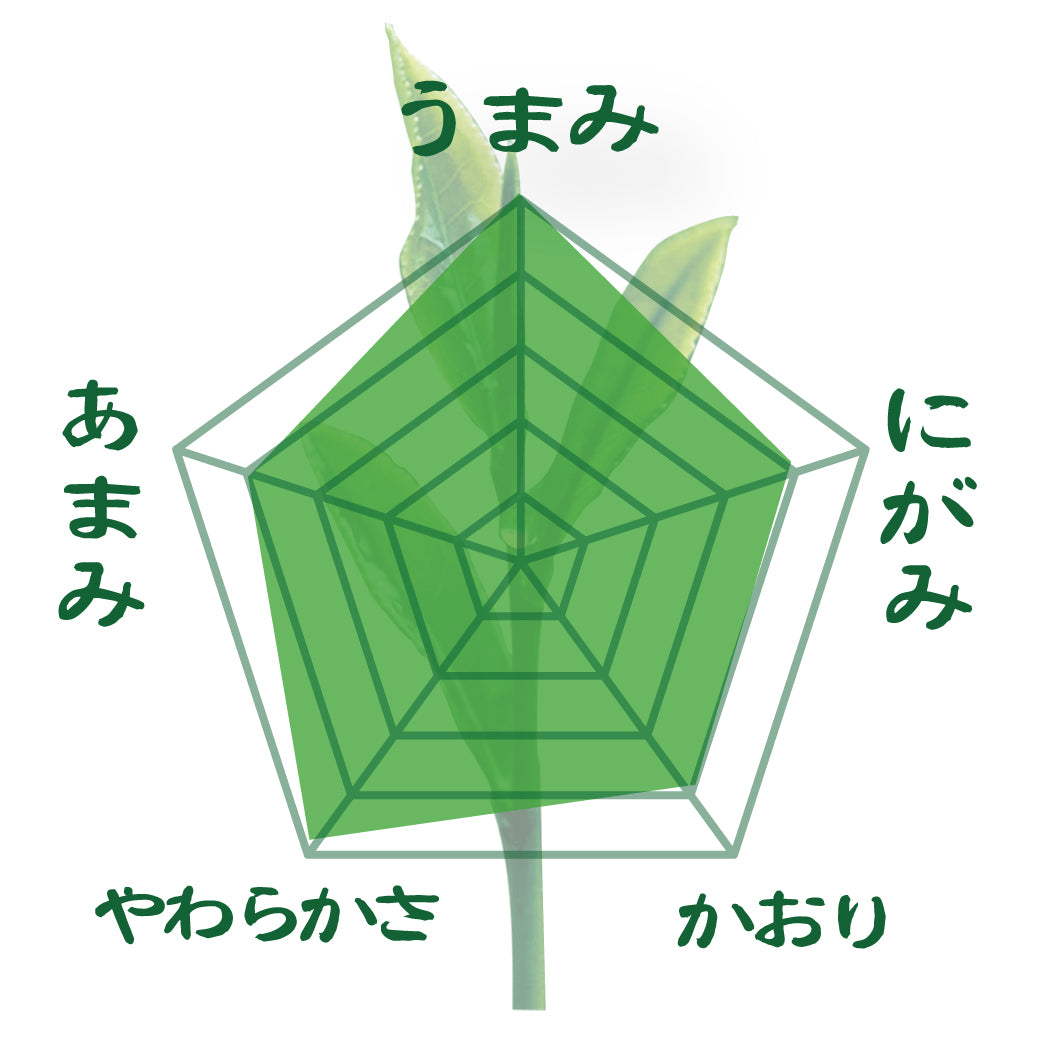 期間限定10月15日～21日のお渡しor配送となります。創業祭価格1,080円！創業祭数量限定商品 熟成蔵出最上煎茶「とっておき」70ｇ詰【静岡掛川菊川産やぶきた品種】※ネコポス便4本まで
