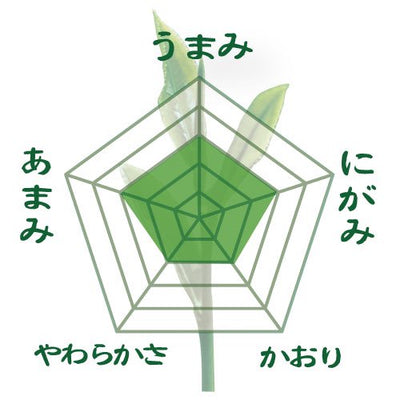 静岡掛川産やぶきた品種】特製深蒸し緑茶 荒茶 太鼓番 80g詰