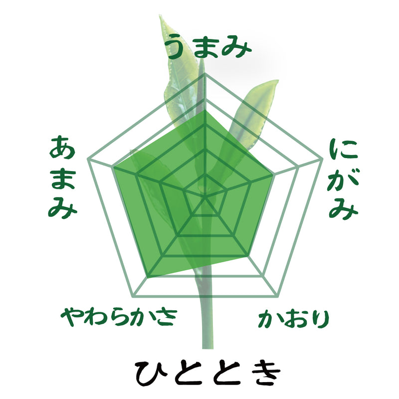 おすすめ！「三大産地新茶飲みくらべセット」