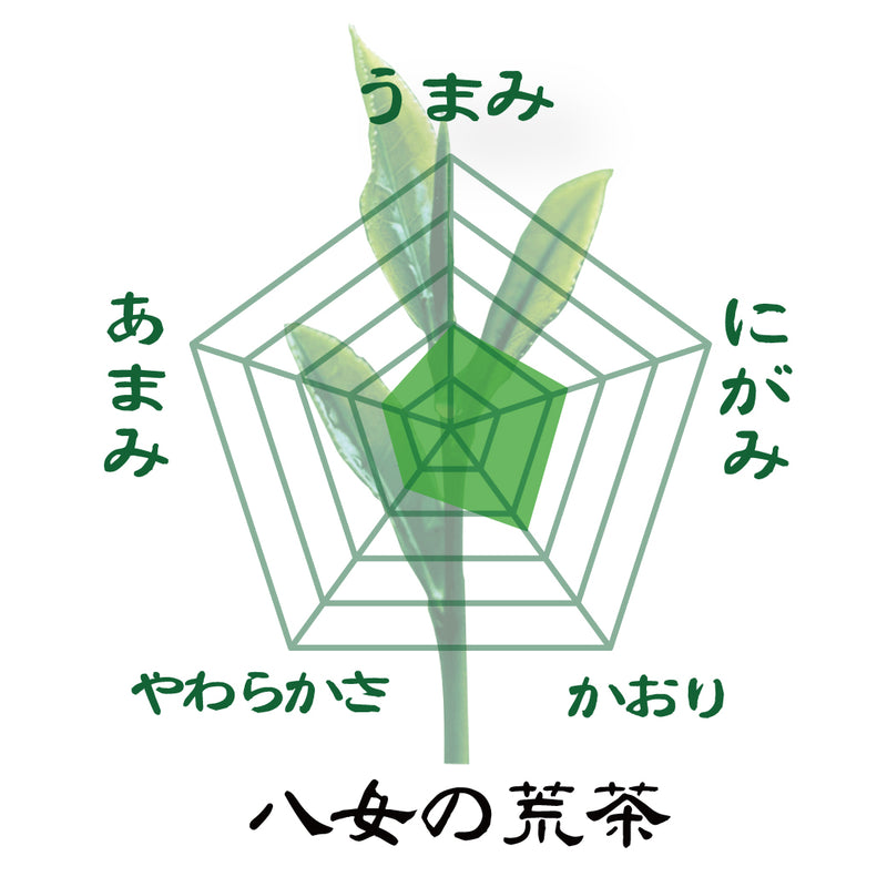 同梱OK！送料込のまとめ買いセット 【福岡八女産】厳選八女茶８０ｇ詰３種セット