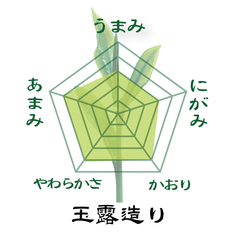 2024年度産【鹿児島産深蒸し緑茶玉露造り＆茶々クッキー20枚入セット】