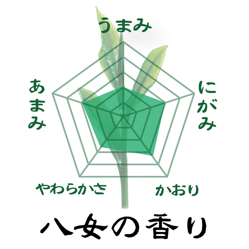 2024年度産 日本茶三大産地 飲みくらべセット　「ひととき」８０ｇ「玉露造り」８０ｇ「八女の香り」８０ｇ